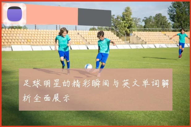 足球明星的精彩瞬间与英文单词解析全面展示