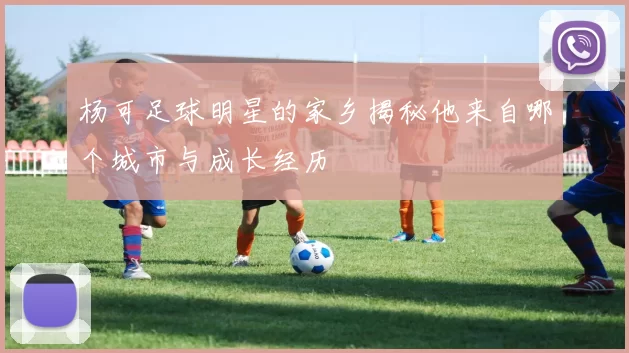 杨可足球明星的家乡揭秘他来自哪个城市与成长经历