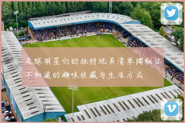 足球明星们的独特玩具清单揭秘你不知道的趣味收藏与生活方式