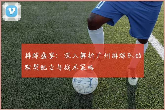 排球盛宴：深入解析广州排球队的默契配合与战术策略