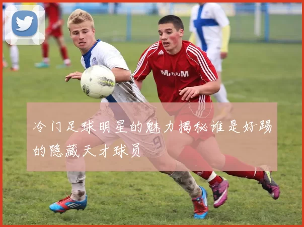 冷门足球明星的魅力揭秘谁是好踢的隐藏天才球员