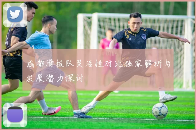 成都滑板队灵活性对比独家解析与发展潜力探讨