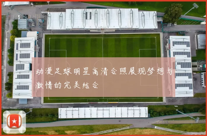 动漫足球明星高清合照展现梦想与激情的完美结合