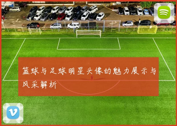 篮球与足球明星头像的魅力展示与风采解析