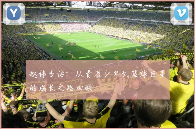 赵伟专访：从青涩少年到篮球巨星的成长之路回顾
