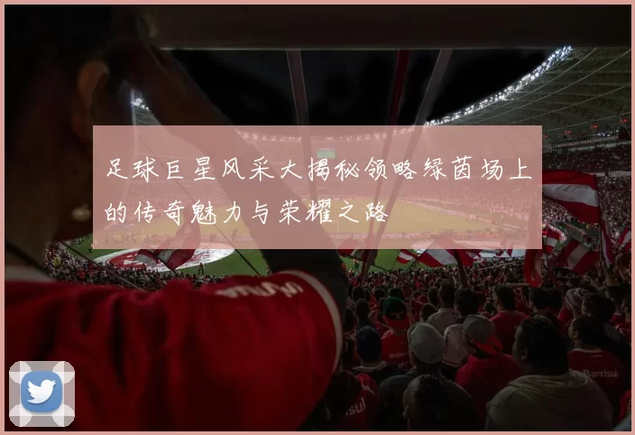 足球巨星风采大揭秘领略绿茵场上的传奇魅力与荣耀之路
