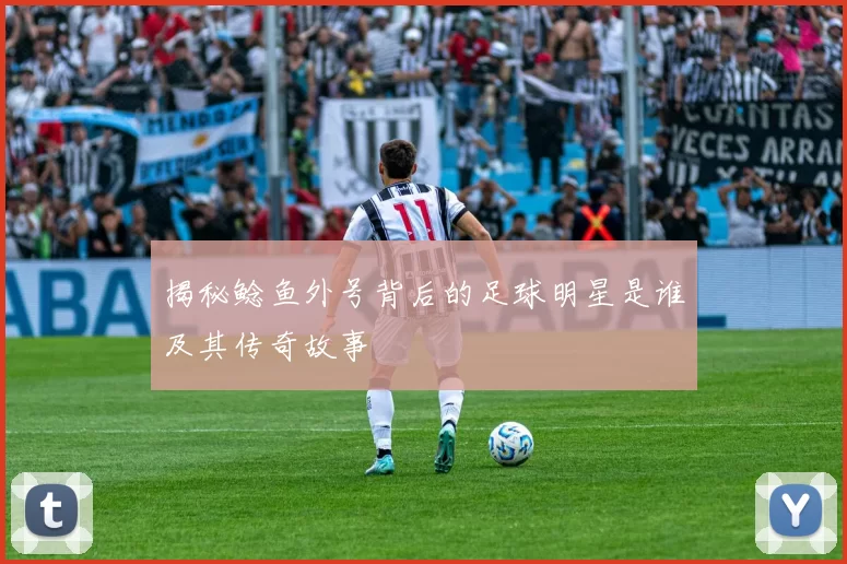 揭秘鲶鱼外号背后的足球明星是谁及其传奇故事