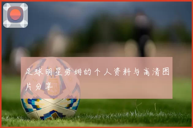 足球明星劳姆的个人资料与高清图片分享