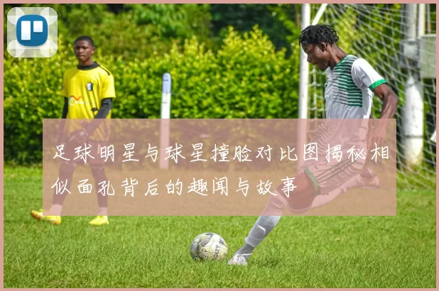 足球明星与球星撞脸对比图揭秘相似面孔背后的趣闻与故事