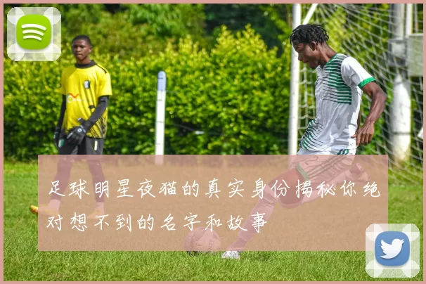 足球明星夜猫的真实身份揭秘你绝对想不到的名字和故事