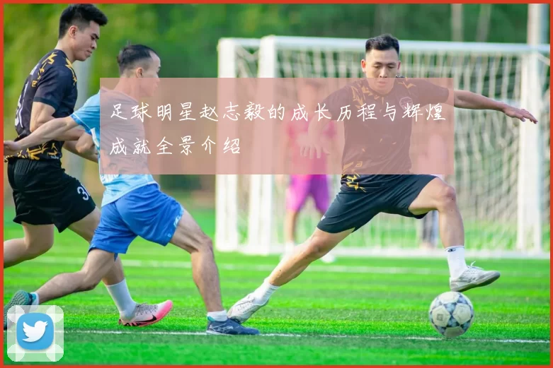 足球明星赵志毅的成长历程与辉煌成就全景介绍