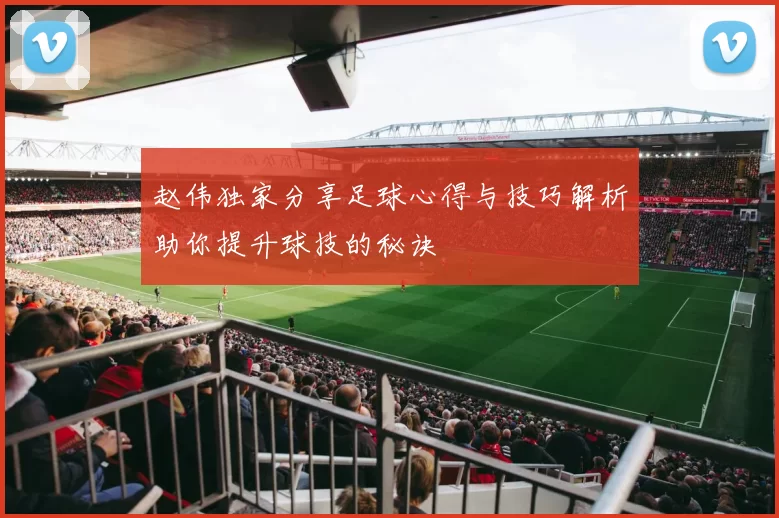 赵伟独家分享足球心得与技巧解析助你提升球技的秘诀