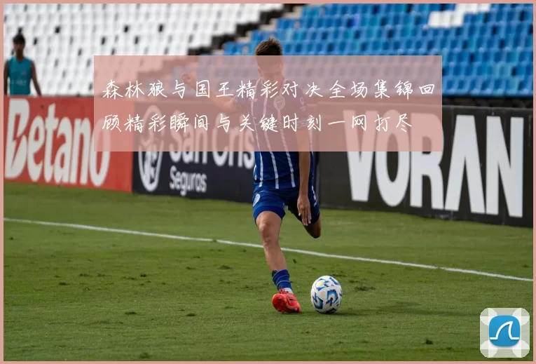 森林狼与国王精彩对决全场集锦回顾精彩瞬间与关键时刻一网打尽