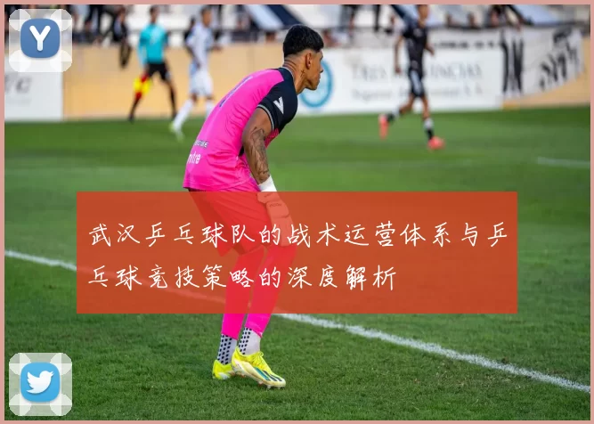 武汉乒乓球队的战术运营体系与乒乓球竞技策略的深度解析