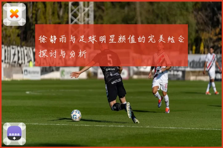 徐静雨与足球明星颜值的完美结合探讨与分析