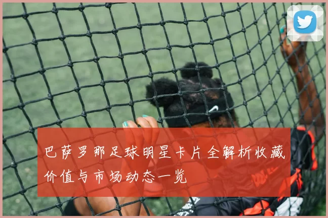 巴萨罗那足球明星卡片全解析收藏价值与市场动态一览