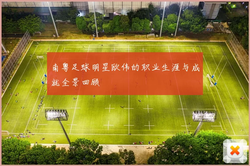 南粤足球明星欧伟的职业生涯与成就全景回顾