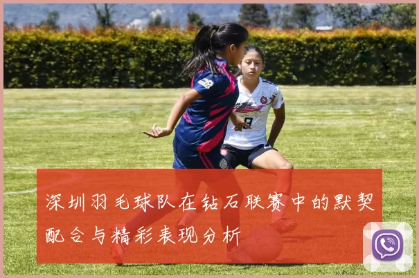 深圳羽毛球队在钻石联赛中的默契配合与精彩表现分析