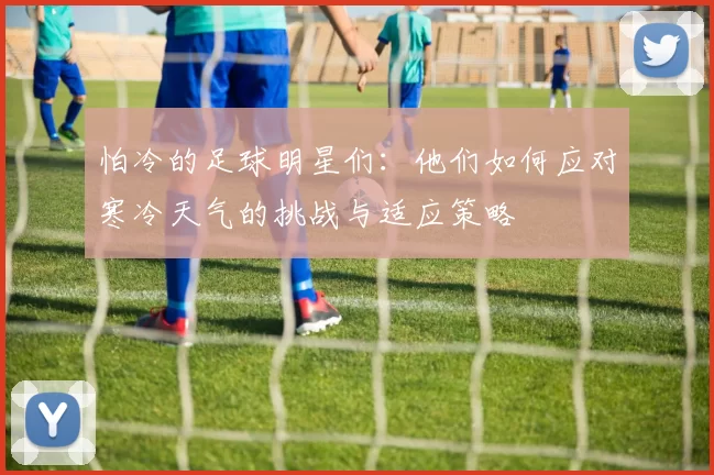 怕冷的足球明星们：他们如何应对寒冷天气的挑战与适应策略