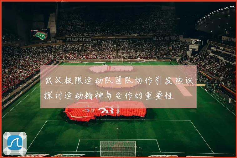 武汉极限运动队团队协作引发热议探讨运动精神与合作的重要性