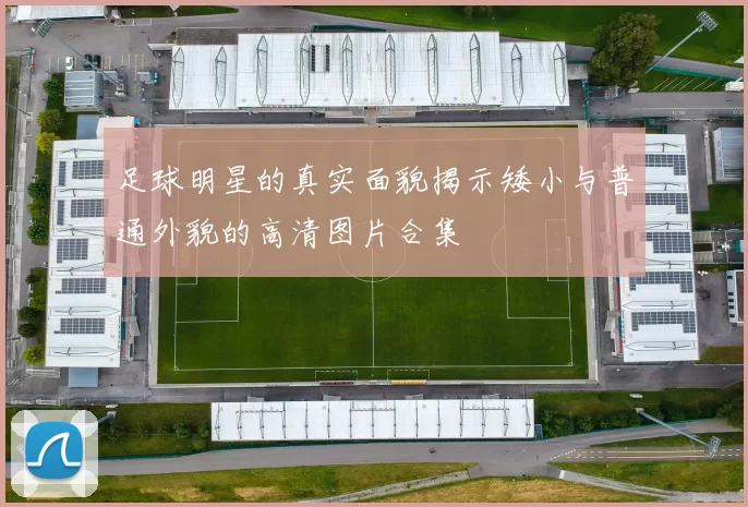 足球明星的真实面貌揭示矮小与普通外貌的高清图片合集