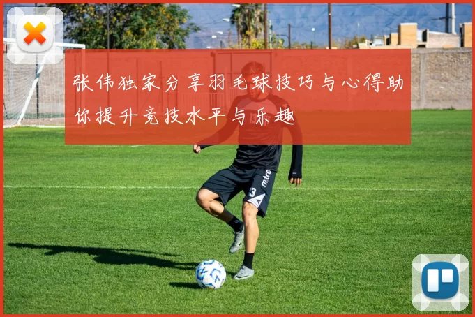 张伟独家分享羽毛球技巧与心得助你提升竞技水平与乐趣