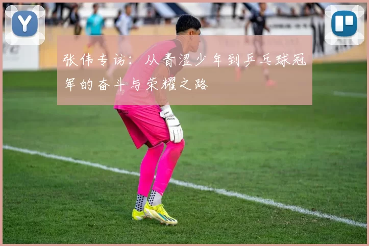 张伟专访：从青涩少年到乒乓球冠军的奋斗与荣耀之路