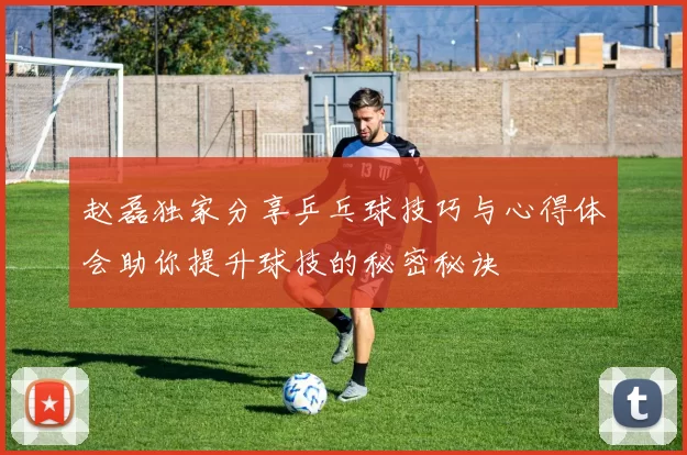 赵磊独家分享乒乓球技巧与心得体会助你提升球技的秘密秘诀