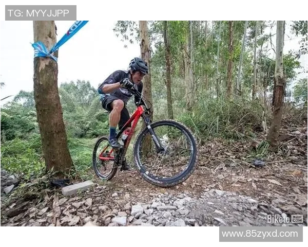 极限运动新手指南从零基础到高手的全面战术解析与技巧分享