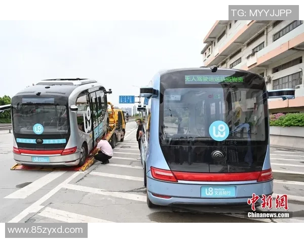 南京攀岩队区域防守分析与战术调整探讨